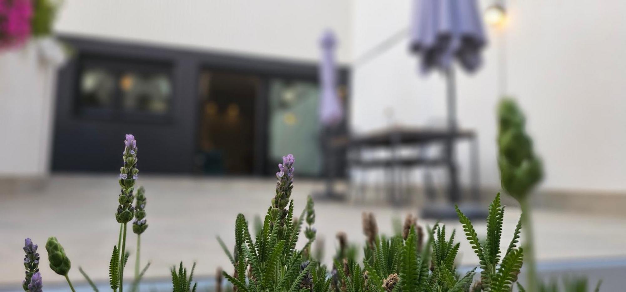 Albayda Garden Leilighet Granada Eksteriør bilde