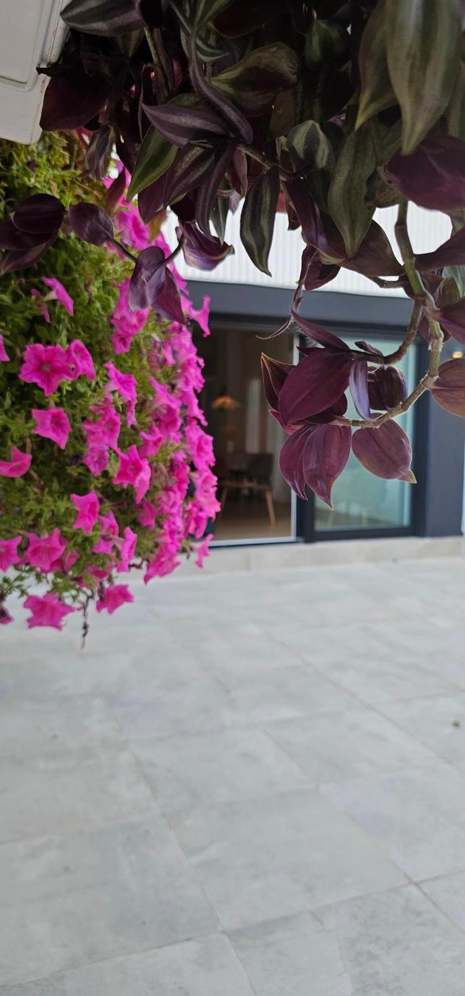 Albayda Garden Leilighet Granada Eksteriør bilde